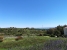 1-7980e48d732b6fc85c14b43b94d2aa54.jpg