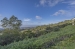 29-7c2f312881aea9bbe9ddaeb9640e2c9a.jpg